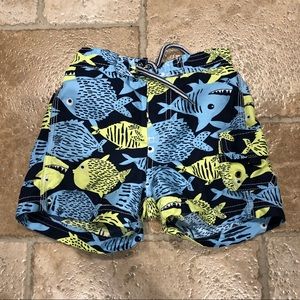 Infant Boys Swim Trunks